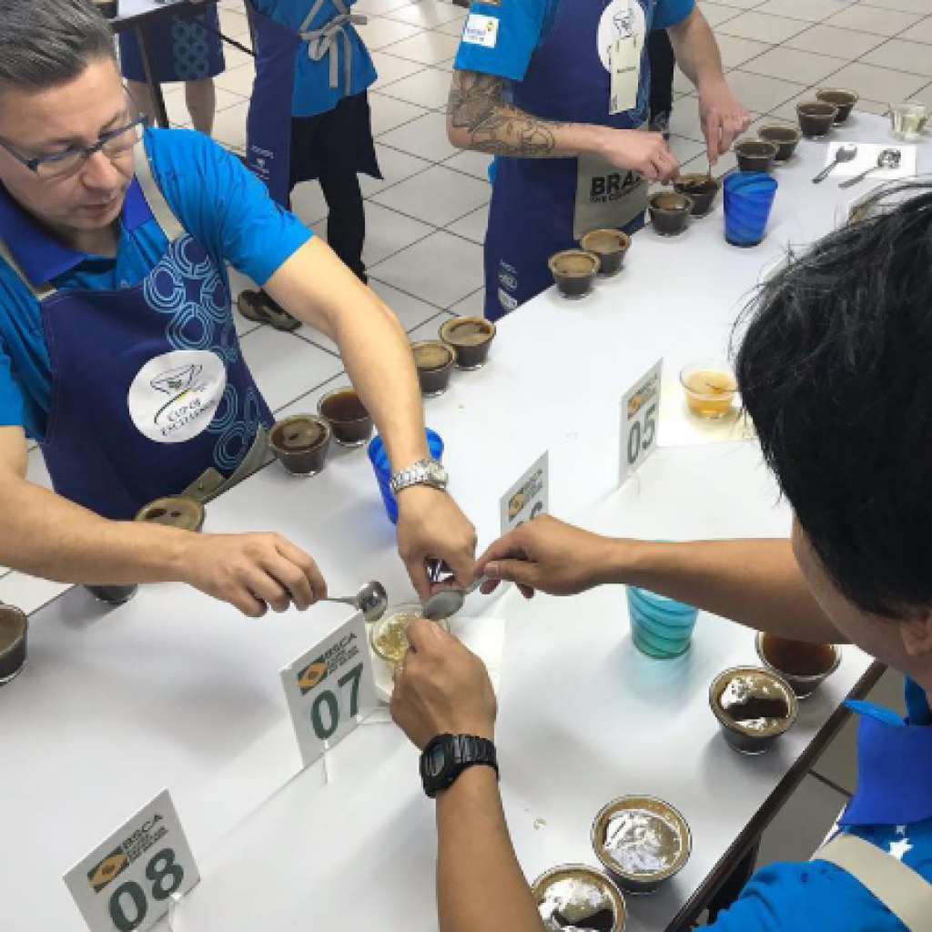 80 Lots of 86+ Brazilian Coffees Head to Cup of Excellence Auctions