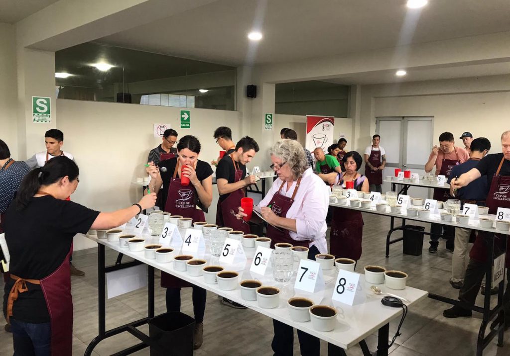Many Varieties Shine at the Third Peru Cup of Excellence in Jaén