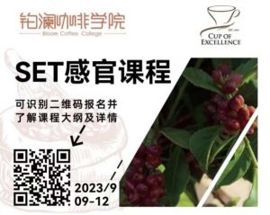 QR Code for Bloom Coffee College course