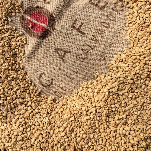 COE ORIGIN IMMERSION – INSTITUTO SALVADOREÑO DEL CAFÉ - image of coffee beans over coffee bean burlap bag with logo
